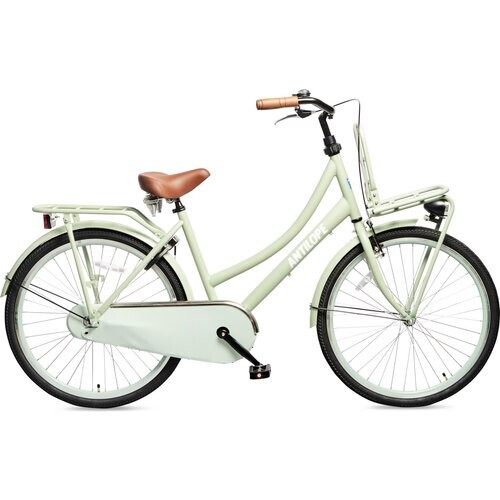 Antilope Transport Meisjesfiets 26 Inch Mat Lichtgroen
