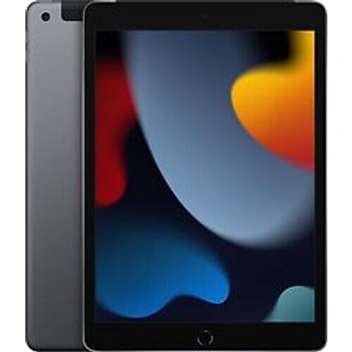 Apple iPad 10,2 256GB [wifi + cellular, model 2021] spacegrijs Tweedehands