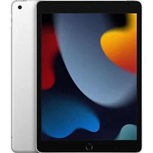 Apple iPad 10,2 64GB [wifi + cellular, model 2021] zilver Tweedehands