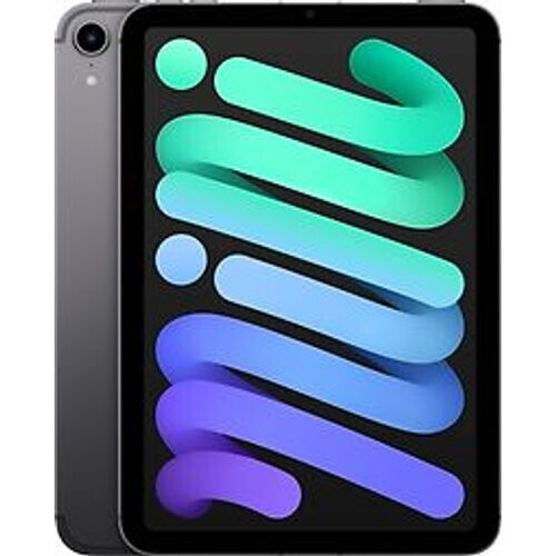 Apple iPad mini 6 8,3 256GB [wifi + cellular] spacegrijs Tweedehands