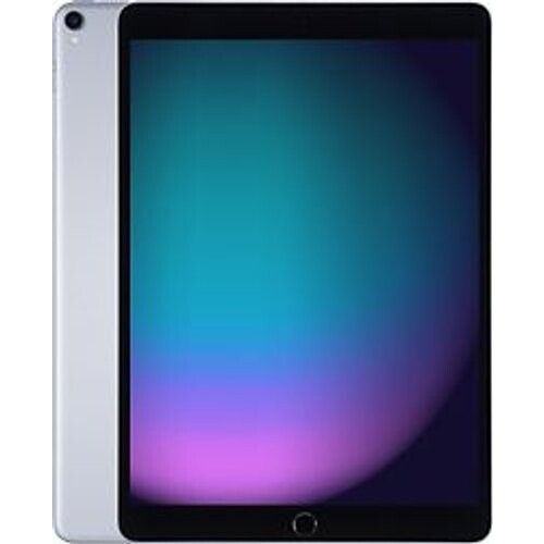 Apple iPad Pro 10,5 512GB [wifi, model 2017] spacegrijs Tweedehands