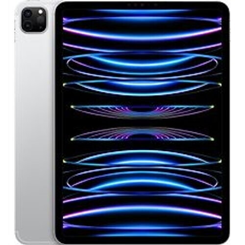 Apple iPad Pro 11 256GB [wifi + cellular, model 2022] zilver Tweedehands