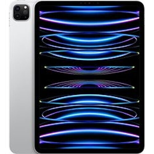 Apple iPad Pro 11 256GB [wifi, model 2022] zilver Tweedehands