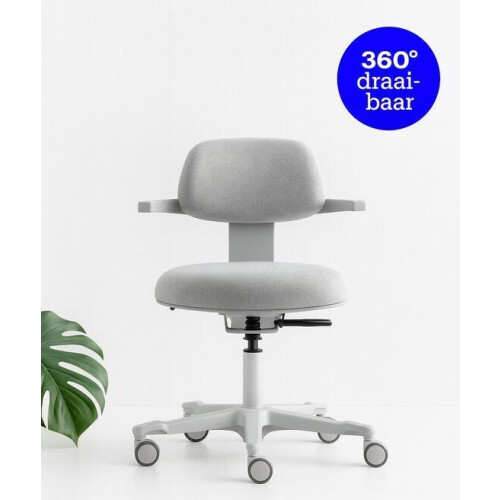 Backerz Ergonomische Werkkruk - Bureaustoelen voor Volwassenen - Volledig Verstelbaar, tot 120kg -
