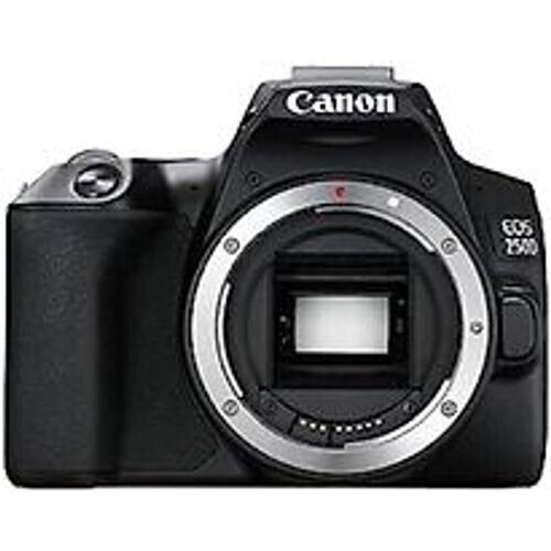 Canon EOS 250D Body zwart Tweedehands