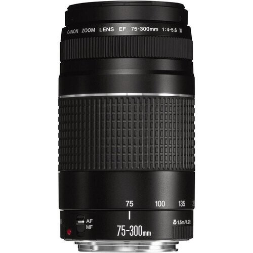 Canon Lens EF 75-300mm f/4.0-5.6 Tweedehands