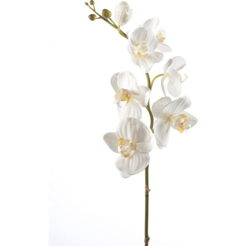 Emerald - Phalaenopsis tak - Kunstbloem - 75 cm - Creme (2 stuks)