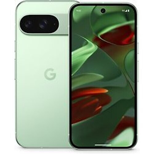Google Pixel 9 Dual SIM 256GB wintergroen Tweedehands