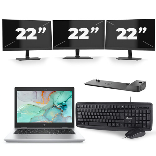 HP ProBook 645 G4 - AMD Ryzen 5 2500U - 14 inch - 8GB RAM - 256GB SSD - Windows 10 + 3x 22 inch Monitor Tweedehands