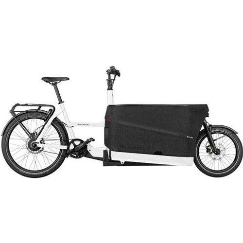 Riese & Müller Packster 70 Vario Elektrische fiets Tweedehands