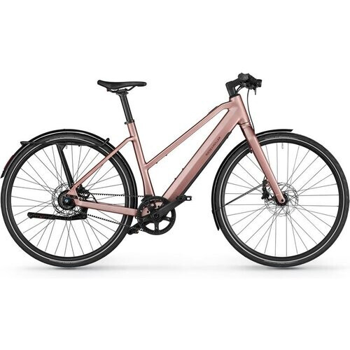 Riese & Müller UBN Seven Silent Elektrische fiets Tweedehands