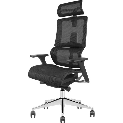 Stane Elite - Ergonomische Bureaustoel - Volledig aanpasbaar - Zwart Tweedehands