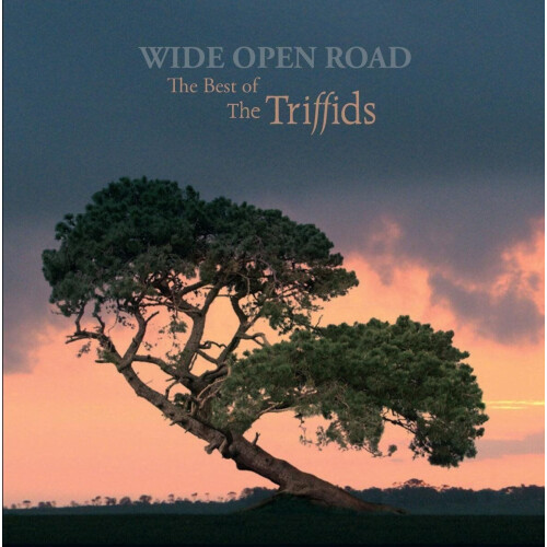 Triffids - Wide Open Road: Best Of - CD