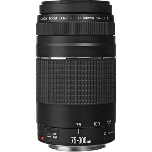 Tweedekans Canon EF 75-300mm f/4.0-5.6 Tweedehands