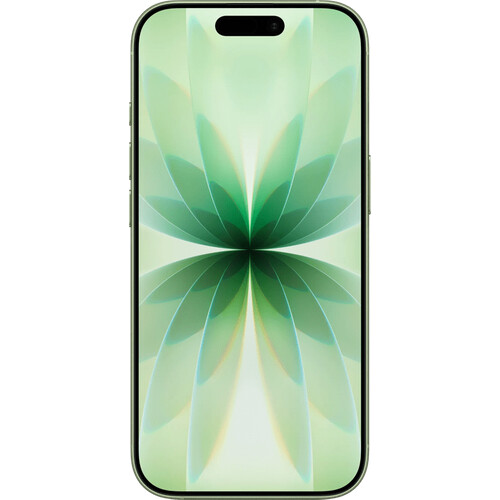 Tweedekans iPhone 17 256GB Tweedehands