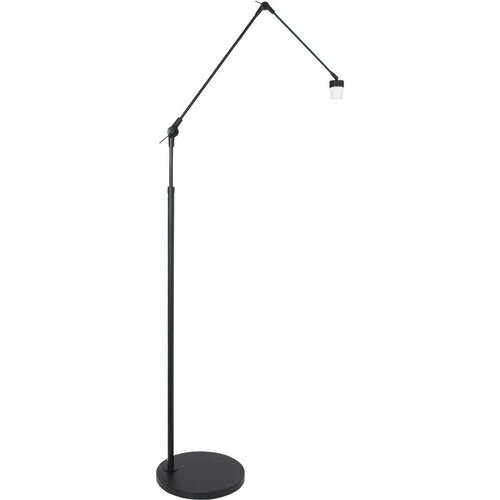 Tweedekans Prestige Chic Moderne Vloerlamp – 1-Lichts – Draaibaar, Kantelbaar & Uitschuifbaar tot 250 cm – E27 – 35x100 cm – Woonkamer / Kantoor – Mat Zwart Tweedehands