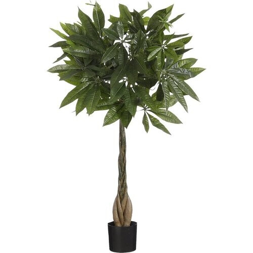 Tweedekans sMica Decoration Pachira Kunstplant - H80 x Ø60 cm - Groen Tweedehands